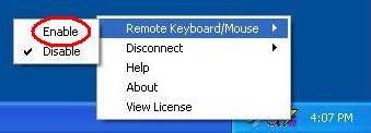 RGSIconmenu.JPG
